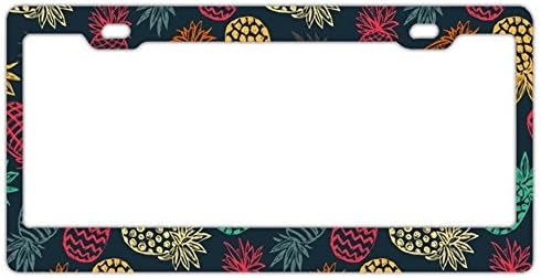 EXMENI Rainbow Pineapples License Plate Frame Theft-Proof Frames Stainless Steel Board Frames