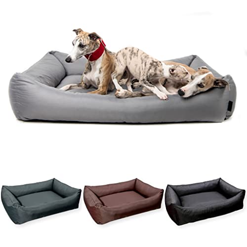 4L Textil OTTO Confortable cama para perros, funda extraíble y lavable, tamaño mediano, mullido cojín para perros (120 x 100 cm, Básico 03) Cover