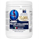PRO ART Collagene Marino Idrolizzato Alto Dosaggio in Polvere 10.000 mg con Acido Ialuronico, Vitamina C e Zinco per Pelle Articolazioni e Capelli – 366 g Made in Italy