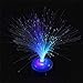 Produktbild ICOCO Chrismas Party Bar Decor Schöne Romantische LED Lampe Farbwechsel LED Fiber Optic Nachtlicht Lampe Kleines Nachtlicht - Zufällig