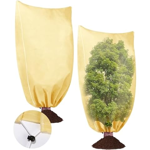 Housse Hivernage Plante Cotepi Cover