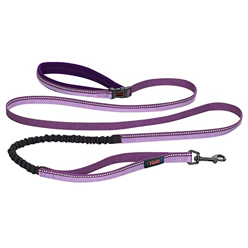 Guinzaglio Active HALTI - Impugnatura imbottita in neoprene, tessuto ammortizzante 3M catarifrangente. Guinzaglio utilizzabile senza mani, ideale per cani medi e grandi (Taglia L, Viola)