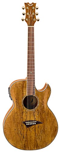 Dean Performer Mini Jumbo Acoustic-Electric Guitar, Spaulted Maple Florentine