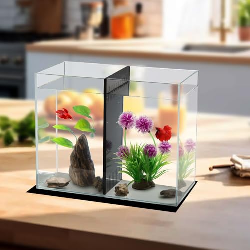 Tanque de peixes Betta de 3 galões com divisória, aquário pequeno, serve para 2 Bettas, 1,5 galão x