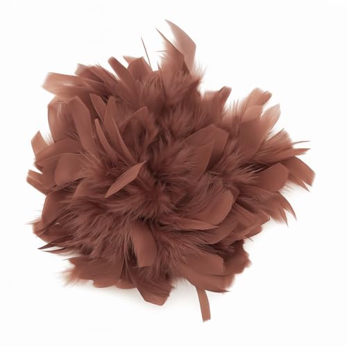 Baesics Spilla con Piuma - Donna Spilla con Piume di Struzzo Soffici Stile Vintage Accessorio per Cappello Sposa Matrimonio Festa Carnevale Fermaglio per Capelli Fascinator per Blazer Vestito Giacca