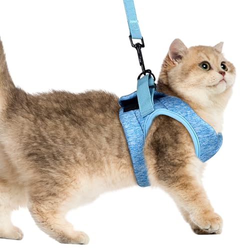 Pettorina Gatto, Blu Imbracatura per Gatti Antifuga, Taglia M Pettorina per Gatti, per Passeggiate All'aperto ed Esercizio Fisico per Piccoli Animali Domestici