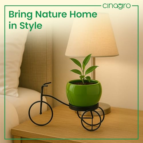 Image of CINAGRO Cycle-Shaped Metal Plant Stand for Indoor & Outdoor Use, Metal Cycle Flower Vase, Decorative Iron Planter Pot Holder for Flowers & Ornaments (18 x 8 x 8cm) Style: Urban Pedal, Small