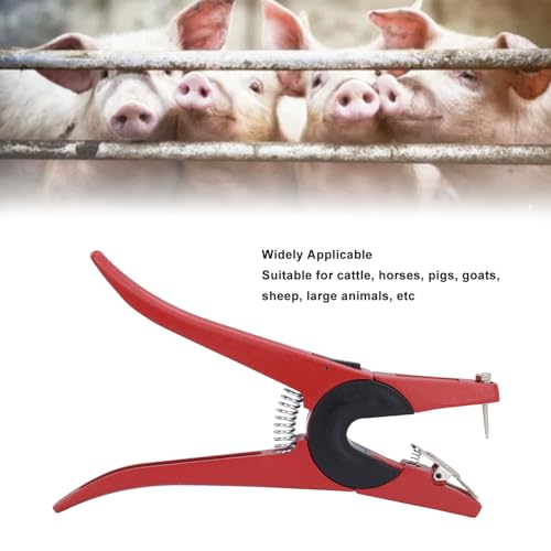 Pince étiquette d'oreille mouton et boucles d'identification bétail orange