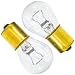 2 Pack Genuine MTD 925-0963 12V Miniature Lamp