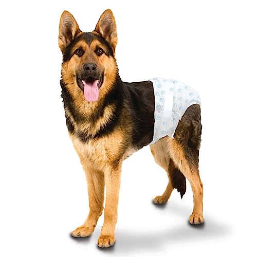 Image of Four Paws Wee-Wee Super Absorbent Disposable Adjustable Dog Potty Training Diapers, Leak-Proof Protection for Dogs, Size Large, Over 19 inch Waist, 36 Count (Pack of 8)