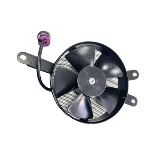 Ventilateur de refroidissement radiateur haute performance quad 300cc