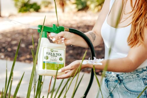 Image of Mosquito Magician Flea and Tick Yard Spray with Hose End Sprayer - Mosquito & Tick Killer and Repellent, Flea Treatment & Outdoor Bug Control for Lawn, Garden & Backyard - Mint Scent, 32 OZ