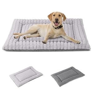 IEUUMLER Hundebett Waschbare Hundematte, Flauschige Weiche und Warme Hundedecke für Unterwegs, Katzenkissen für Große und Kleine Hunde oder Katzen FC014 (Grau, XS(45 * 33cm))