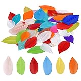 【Uso amplio】Estas llamativas plumas se pueden usar ampliamente para la decoración del hogar, varios accesorios de ropa, zapatos, sombreros, bolsos, sombreros, aretes, atrapasueños, arreglos florales, etc. Perfecto para bodas, baby showers, decoraciones para fiestas de cumpleaños. También es adecuado para hacer manualidades y clip art para niños.