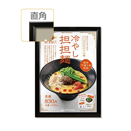 �V���P���X�g�A �Ŕ� �z�� �|�X�^�[�t���[�� �Ǖt��LED�p�l�� ����|�X�^�[�t���[�� �X�ܗp�Ŕ� LED�Ɩ�����Ŕ� ���Ǝ� ���O�Ή� �u���b�N B2 W560mm×H770mm lpd-b2