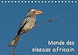 Monde des oiseaux africain (Calendrier chevalet 2020 DIN A5 horizontal): Des portraits d'oiseau fascinant de l'Afrique du sud (Calendrier mensuel, 14 Pages )