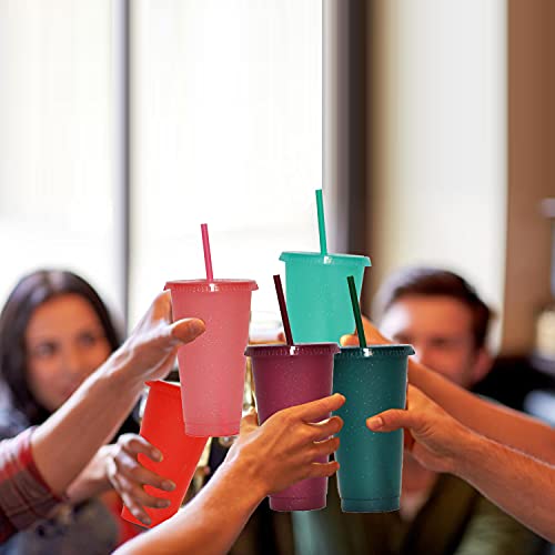 Suertestarry Tumbler With Straw And Lid,Water Bottle Iced Coffee Travel Mug Cup,Reusable Plastic Cups,Perfect For Parties,Birthdays,24Oz-5 Pack (Rainbow Glitter(24Oz) #TOP5