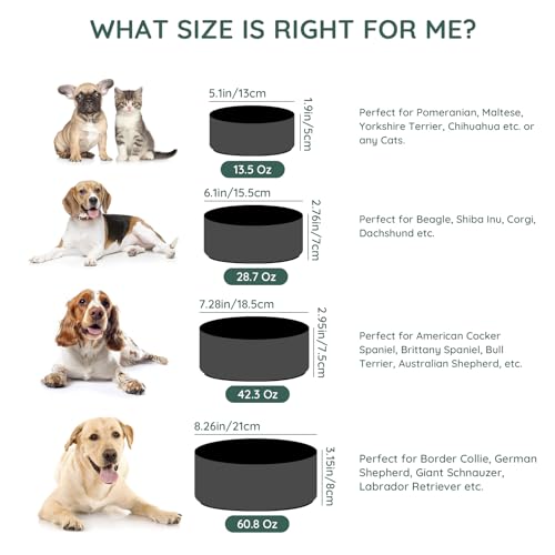 SPUNKYJUNKY 13.5OZ Ceramic Dog and Cat Bowl, Modern Cute Weighted Food Water Bowl for Replacement Black (2 Pack) by SPUNKYJUNKY - Used condition - Image 6