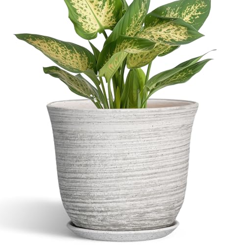 SUNPOTFOR Ceramic Pots for Plants, 5.6 Inch Plant Pot with Drainage, Grey