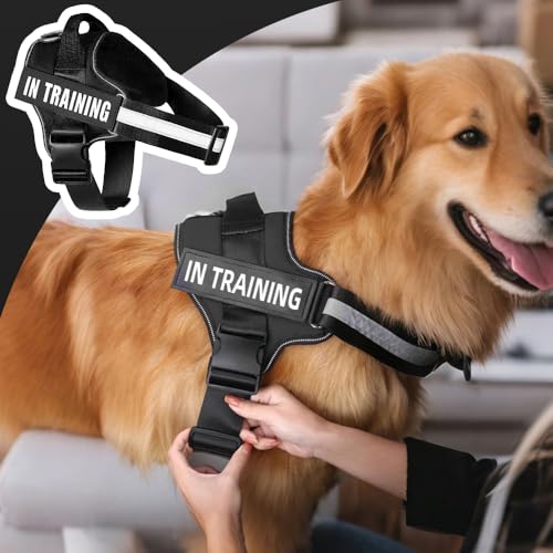FDEETY Hundegeschirr für Hunde Geschirr Ausbruchsicher Verstellbare Brustgurt mit Frontschnalle Reflektierend Nacht Sicherheitsgeschirr Harness Hund Zubehör für Kleine Mittlere Große (M)