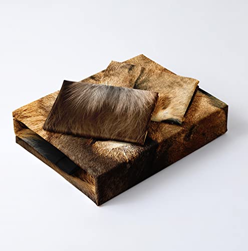 Holiyjog Lion Duvet Cover Set For Kids Animal Quilt Cover Set With 2 Pillowcases Twin Size Wildlife Bedding Sets For Boys Lions Bedroom Decor #TOP3