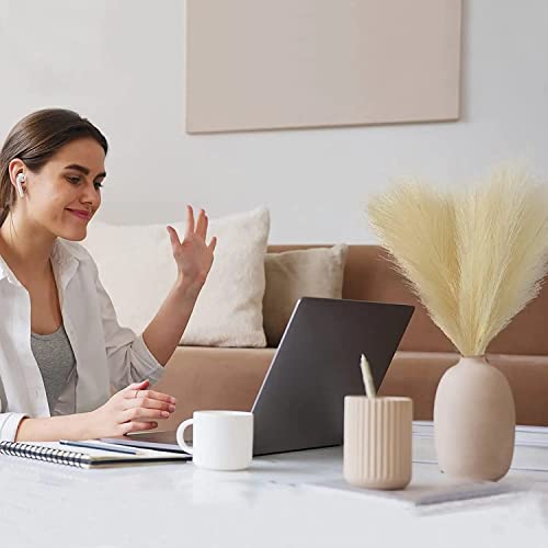 Givon John's 6 Pcs 45Cm Pampas Grass Decor |18" White Fluffy Pampas Grass Faux Beige Pampas Grass | Artificial Pampas White Pampas Grass Vase #TOP4