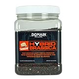 Domain Outdoor Pounder Hybrid Brassica Food Plot Seed - 1 lb Covers 1/4 Acre - Winfred Forage Kale Turnip Cross, Late Season Frost Tolerant, Whitetail Deer