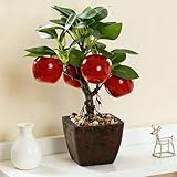 EasyByMall Bonsai di albero da frutto artificiale, pianta finta realistica, decorazione per casa e ufficio, centrotavola in plastica con melograno, kumquat e limone, 23 cm
