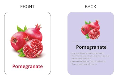 Gurukanth® Premium Flash Cards for Kids Early Learning (Combo Set of 20) | Easy & Fun Way of Learning 1 Year to 6 Years Babies Smart Toys