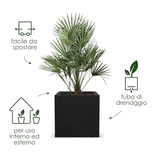 Elho Vivo Next Square 40 - Fioriera Per Interno Esterno - Ø 39.0 X H 37.9 Cm - Nero/Living Black - 2
