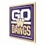 Washington Huskies