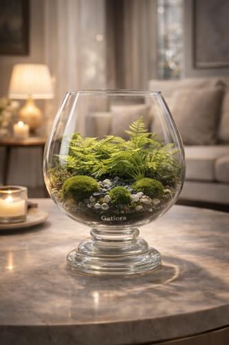 Image of Glass Fish Bowl /Terrarium Wine Cup Shape Clear Glass Aquarium for Fish, Plants & Pebbles, Decorative Centerpiece for Home, Living Room, Office & Balcony (8 Inch)