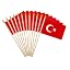 Turkey