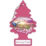 LITTLE TREES Car Air Freshener | Hanging Paper Tree for Home or Car | Morning Fresh | 3 Pack
