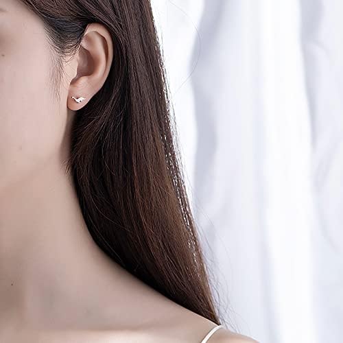 2 Pairs Tiny Dinosaur Stud Earrings Gold/Silver Color Minimalist Mini Animal Statement Earring Studs Cartilage Tragus Piercing Jewelry Gifts for Women Sensitive Ears - Image 2