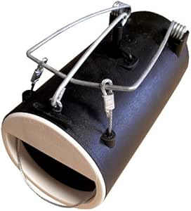 Trampa para roedores tipo agujero negro.