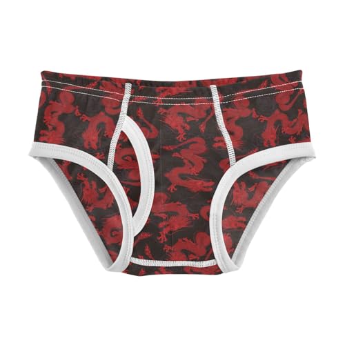 Boys' Exclusive Briefs Toddler Underwear 95% Combed Cotton Boxerbriefs 2T Red Dragon Pattern 33