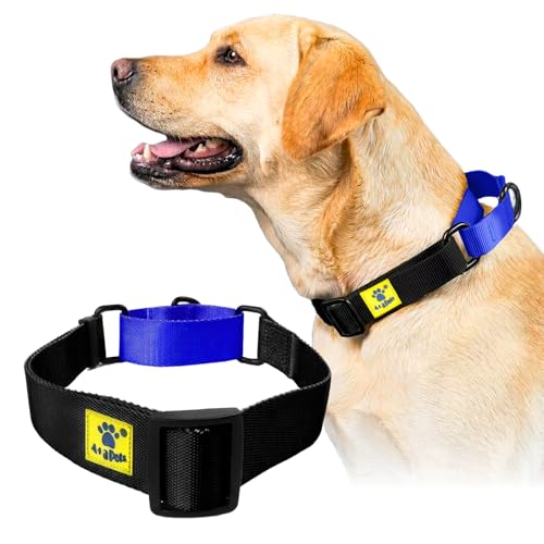 Image of A+a Pets Martingale Dog Collar | No Pull Design, No Neck Strain, No Choke Design | for Large & Medium Dogs | Rust Free, Waterproof Nylon Training Collar (Black & Blue), 30 x 2.5 cm
