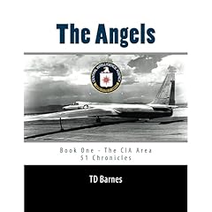 The Angels Audiolibro Por TD Barnes arte de portada