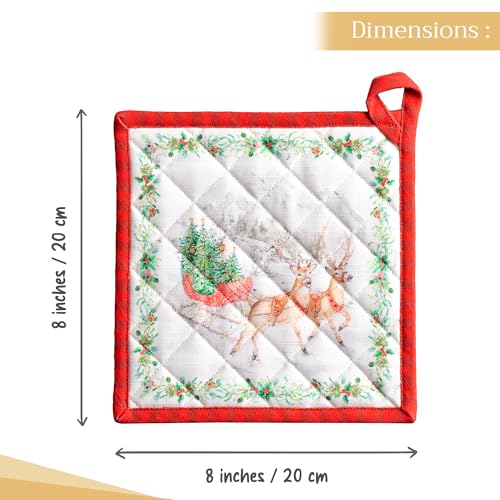 Maison d'Hermine Topflappen-Set, 100% Baumwolle (20 cm x 20 cm, 2er-Pack) – Ansicht 4