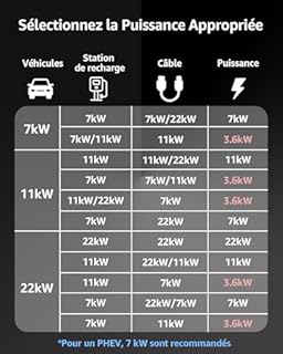 bokman Câble Recharge Voiture Electrique, Câble Recharge Type 2 (22kW/ 3.5 Mètres/Monophasée/ 32A) Rapide Compatible avec BEV/PHEV
