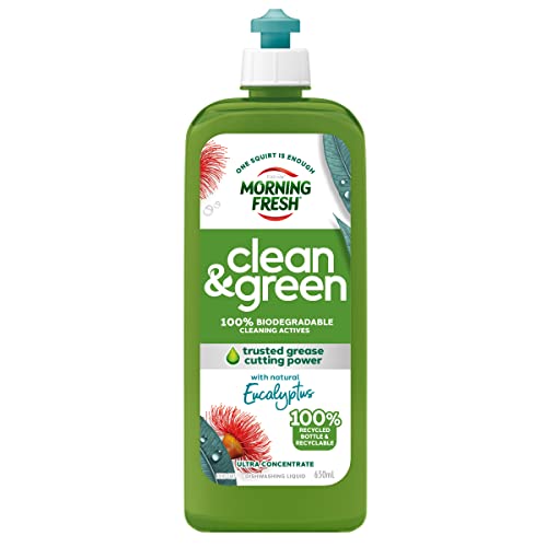 Morning Fresh Ultra Concentrate Clean and Green Eucalyptus Dishwashing Liquid 650 ml