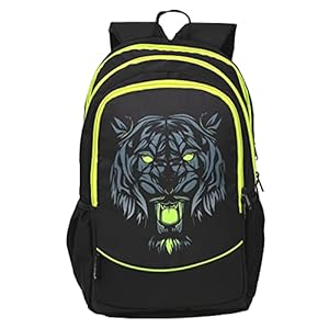 AUXTER DELUXE Casual School College office Travel Backpack – 18 Design