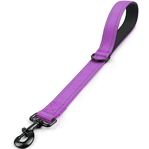 Joytale Short Dog Leash for Close Control & Training, 18", Purple