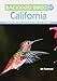 Backyard Birds of California: How to Identify and Attract the Top 25 Birds