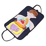 EDUCACIÓN TEMPRANA: Los niños pueden aprender los nombres, formas y posiciones de los órganos del cuerpo. El tamaño es perfecto y puede ser usado tanto por adultos como por niños.
