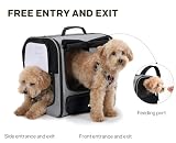 pecute Große Katzen Rucksack Tragetasche für Katzen & kleine Hunde, Belüfteter & robuster Haustier Rucksack für Wandern, Camping, Reisen Leichtes, ergonomisches Design, Grau