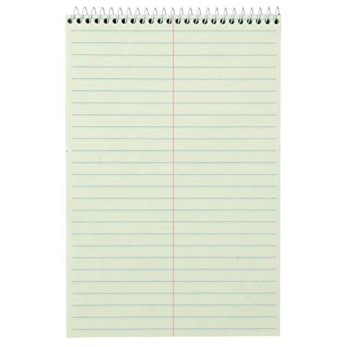 Amazon Basics Steno Books, 6" X 9", Gregg Rule, Green Paper, 80 Sheets, 12-Pack #TOP1