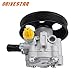 DRIVESTAR 21-5450 Power Steering Pump, fit 2004-2006 for Nissan Altima/Sentra, 2.5L