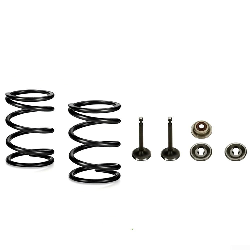 Kit di fermo della molla della valvola di scarico dell'aspirazione compatibile con GX160 per GX200 per operazioni di ricostruzione del motore (188F-190F)